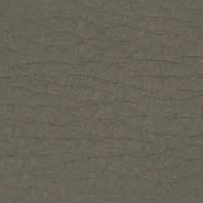 Leder Cat. VIP - Vogue 407