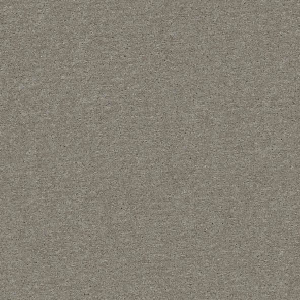 D4 Cusio Grigio Chiaro