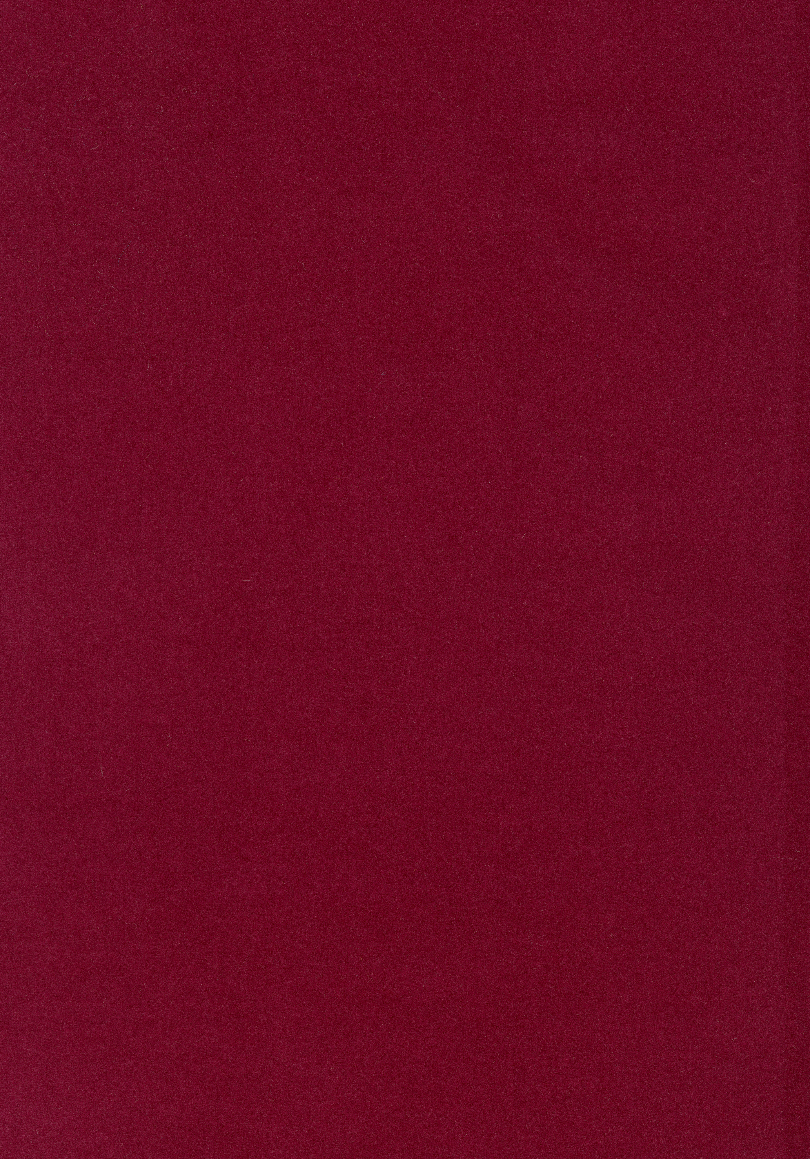 Kategorie W A7785 Harald - Fucsia