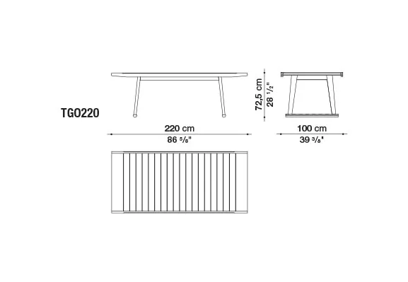 Technisches Datenblatt des B&B Italia Gio Gartentischs 220 cm mit Abmessungen und Seitenansicht
