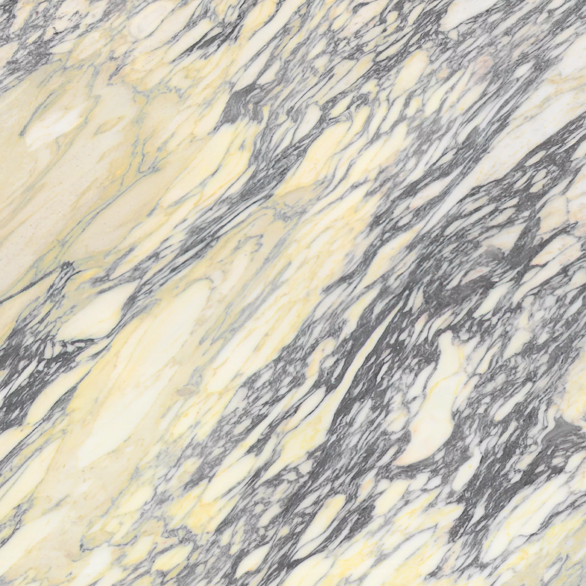 Kategorie 4a - Calacatta Viola