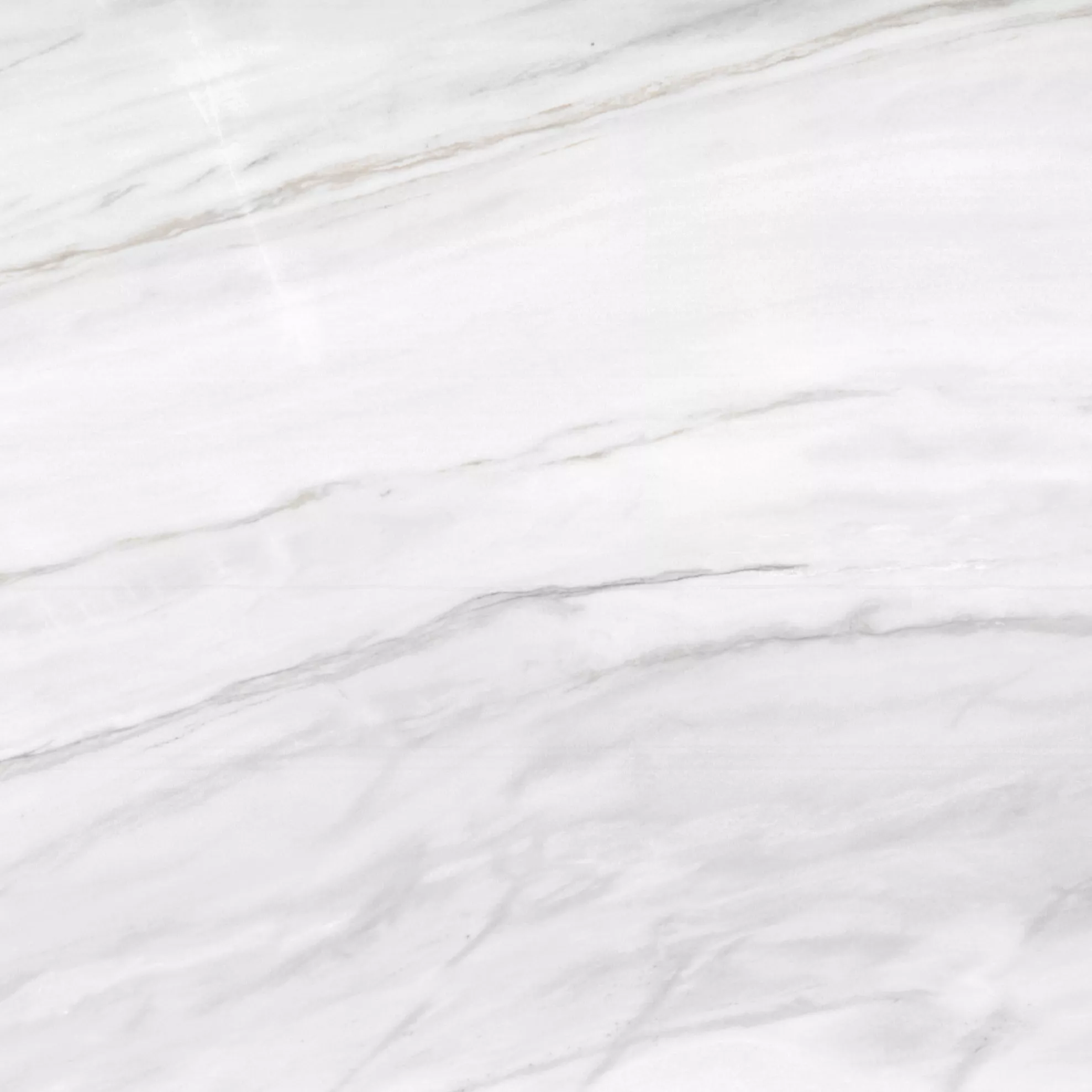 Kategorie 5 - Lasa Vena Oro