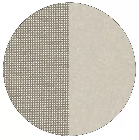 Titanium und Gestell Champagne