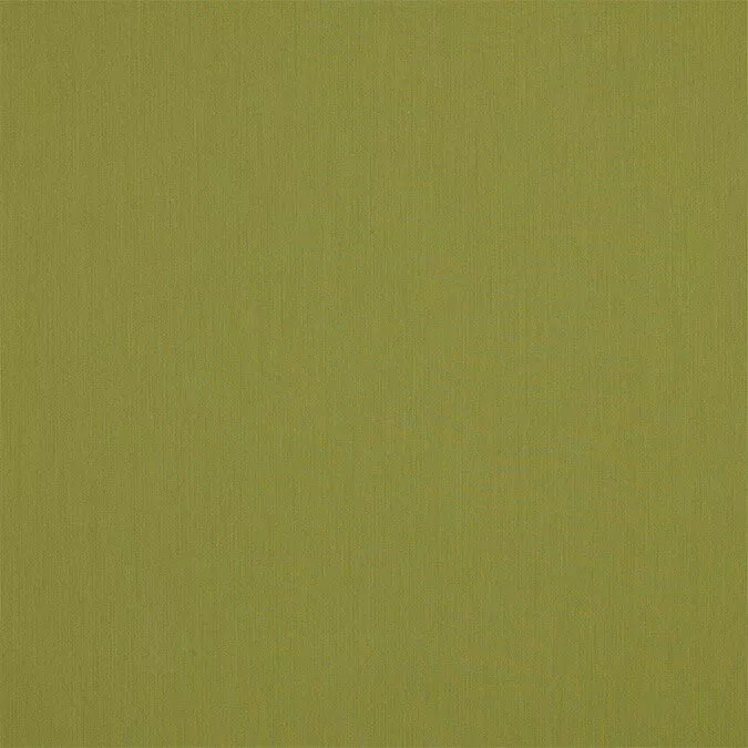 Sunbrella Canvas Lichen