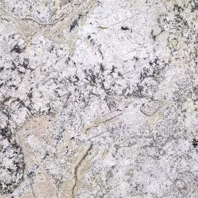 Kategorie 4 - Delicatus Tropical