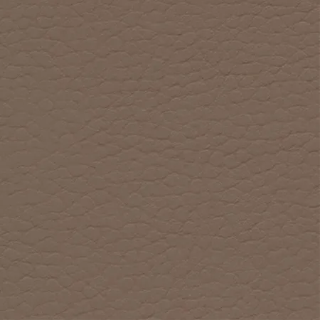 Coast Dusty Earth 640-3881