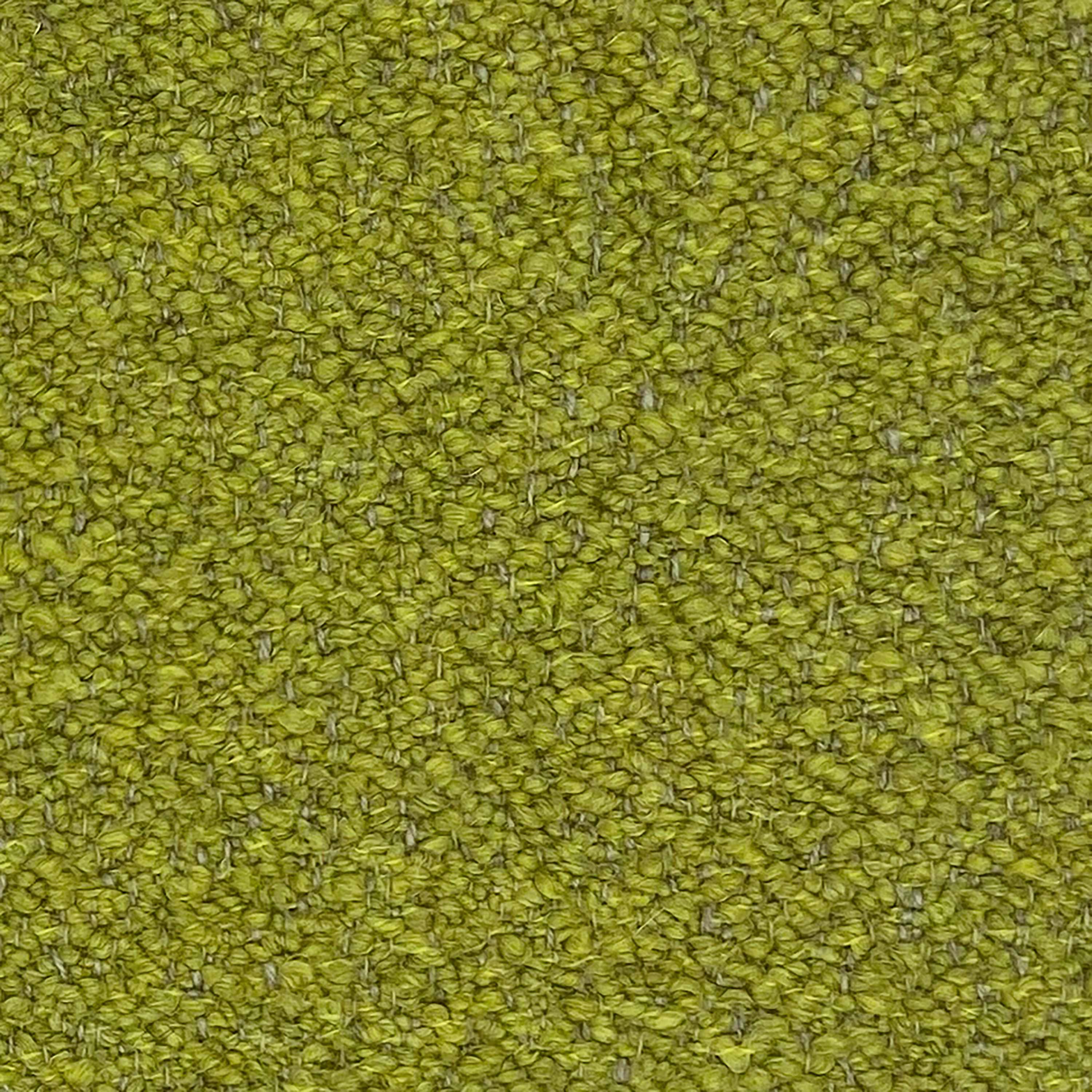 Kategorie S A8598 Orsetto - Lime