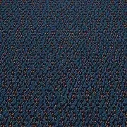 F1 astonish cobalt elm