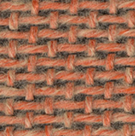Autumn AU00551