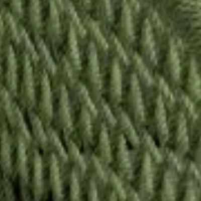 Kordel basil, dunkelgrün