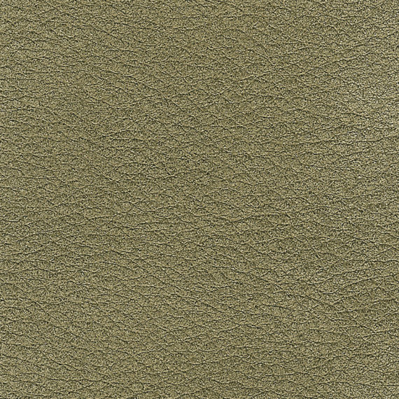 Leder E Scirocco Militare