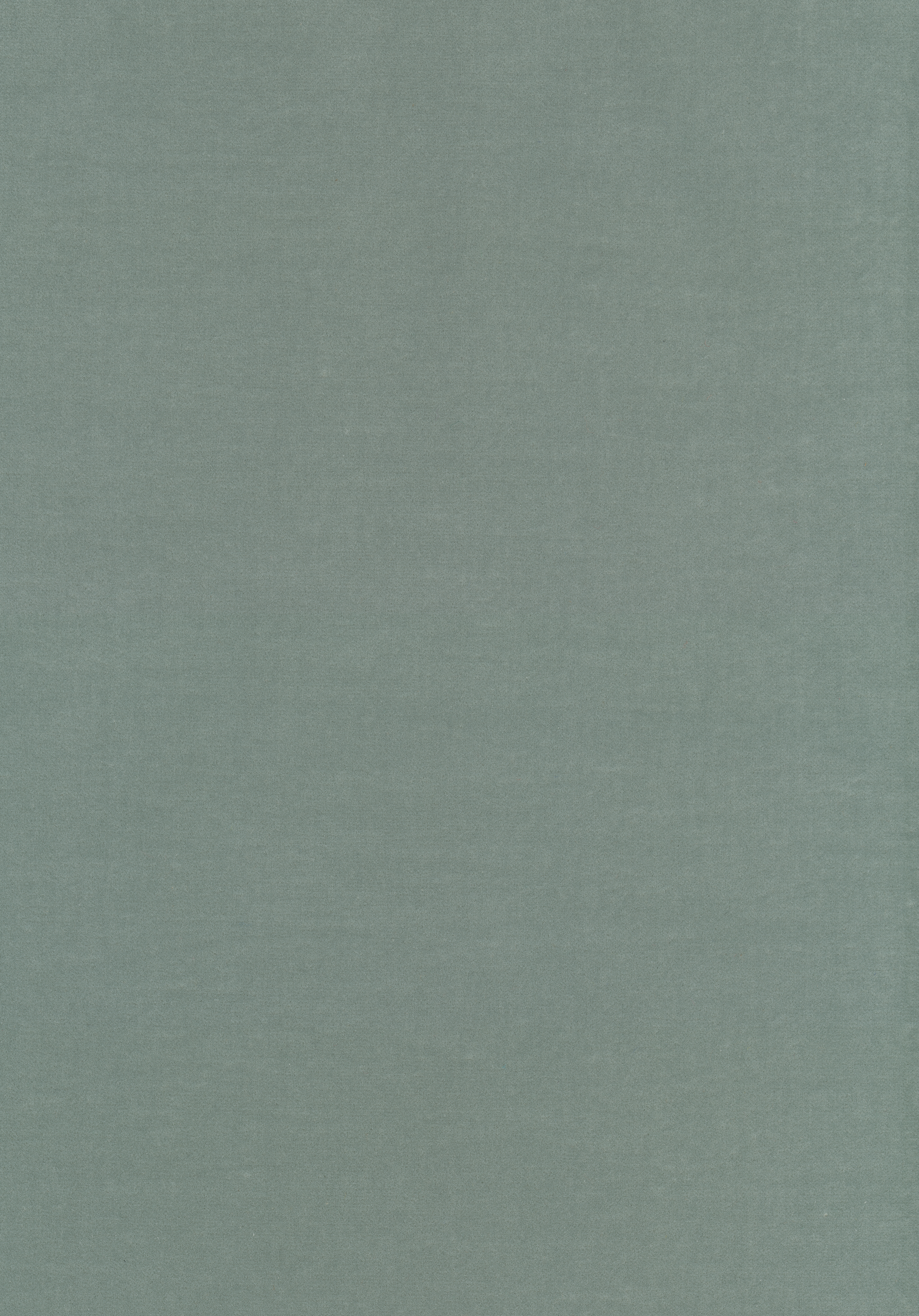 Kategorie W A5993 Harald - Celeste