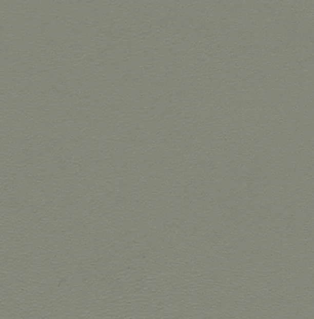 Kunstleder Zest Dove