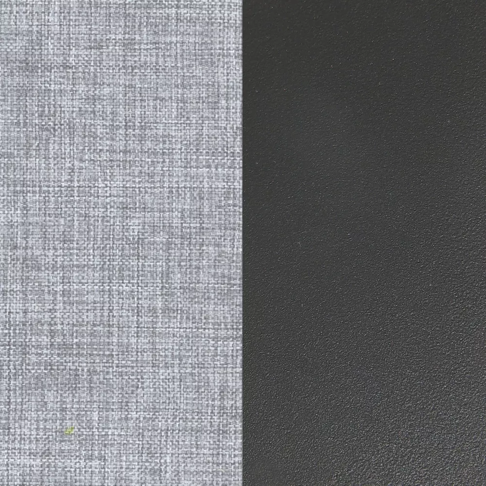 Graphite / Light Grey C36