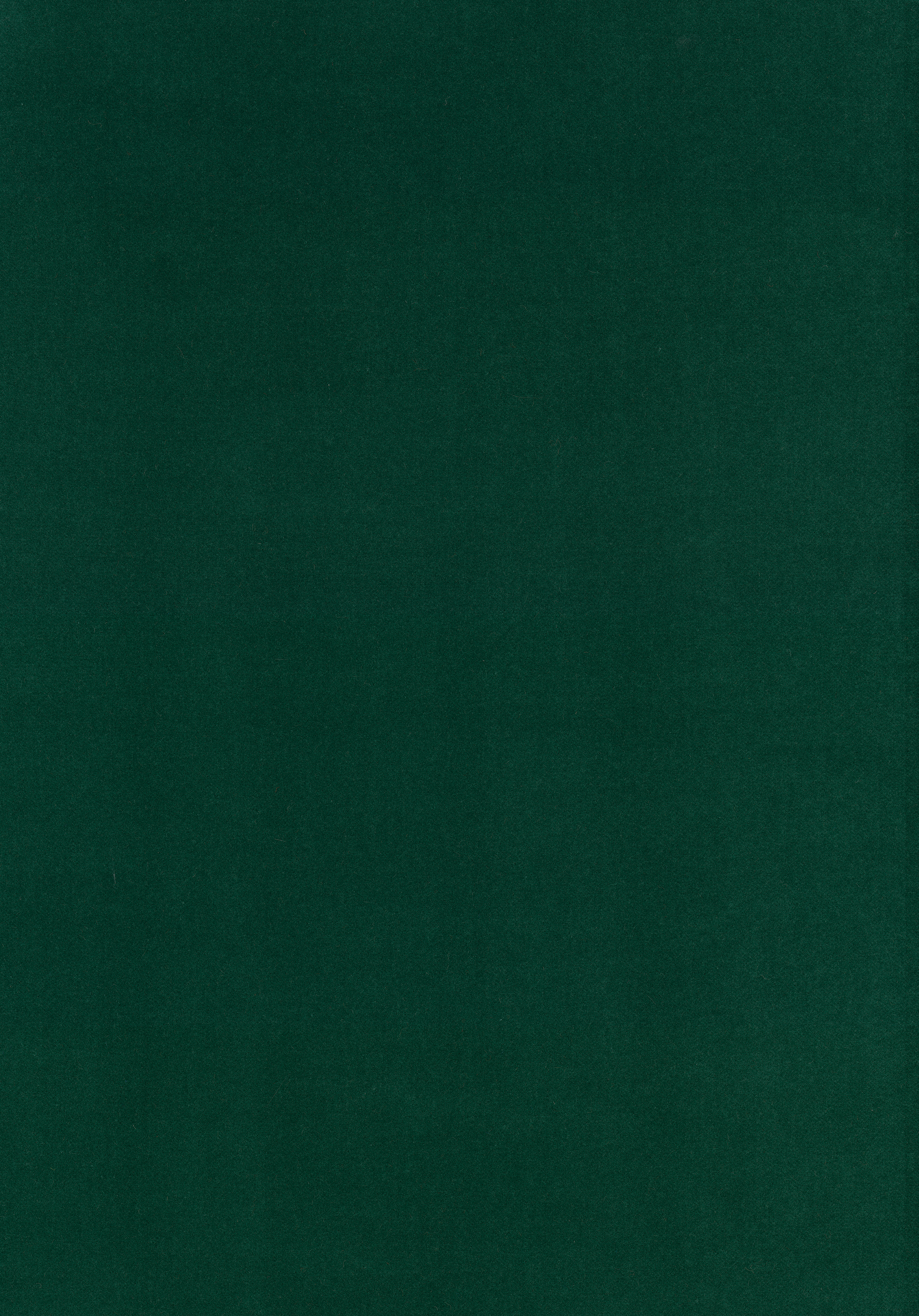 Kategorie W A7794 Harald - Verde