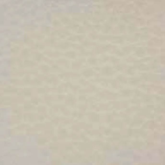 Leder Cat. Premium - Polar 208