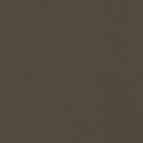 Kunstleder ECP27 Fossil