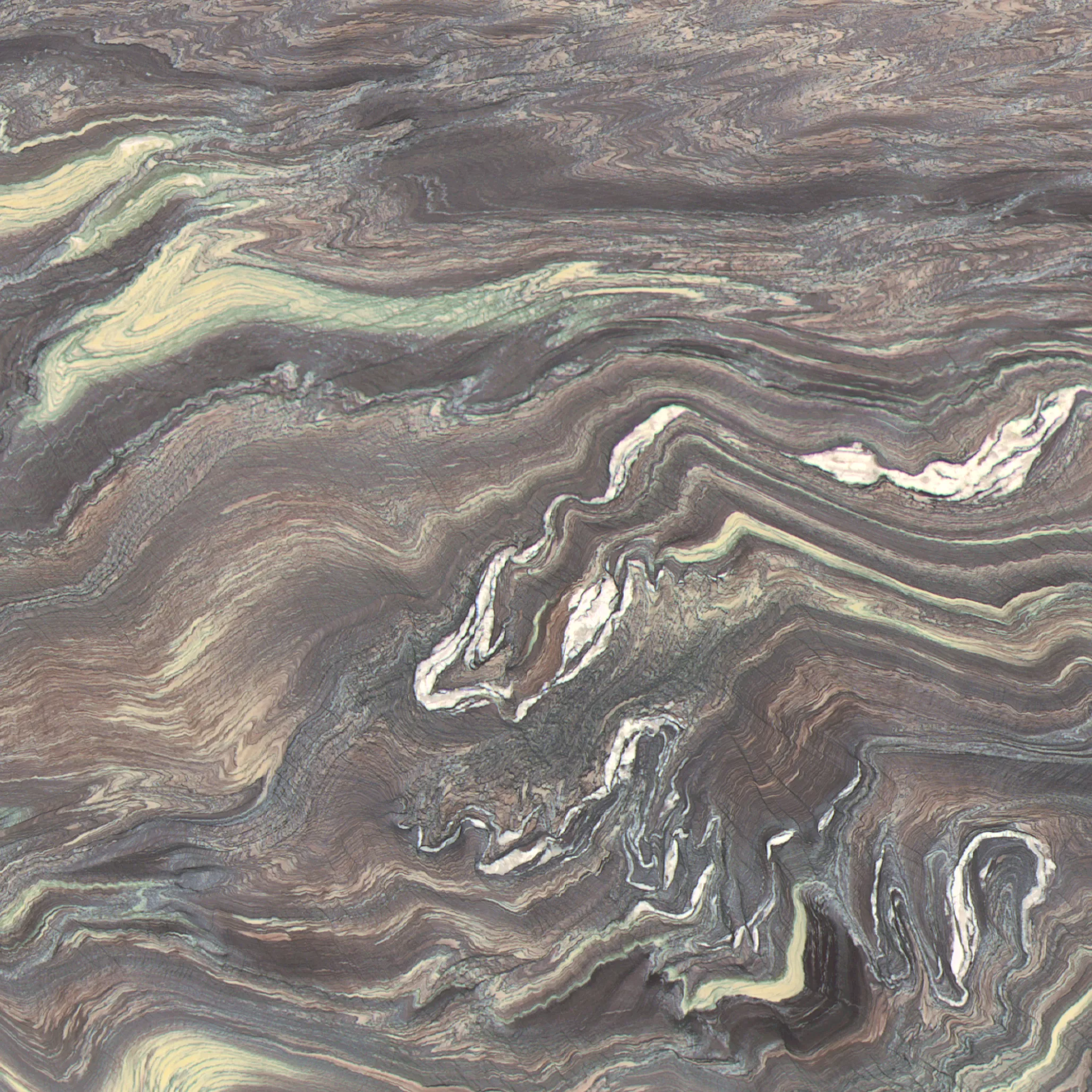 Kategorie 4b - Cipollino