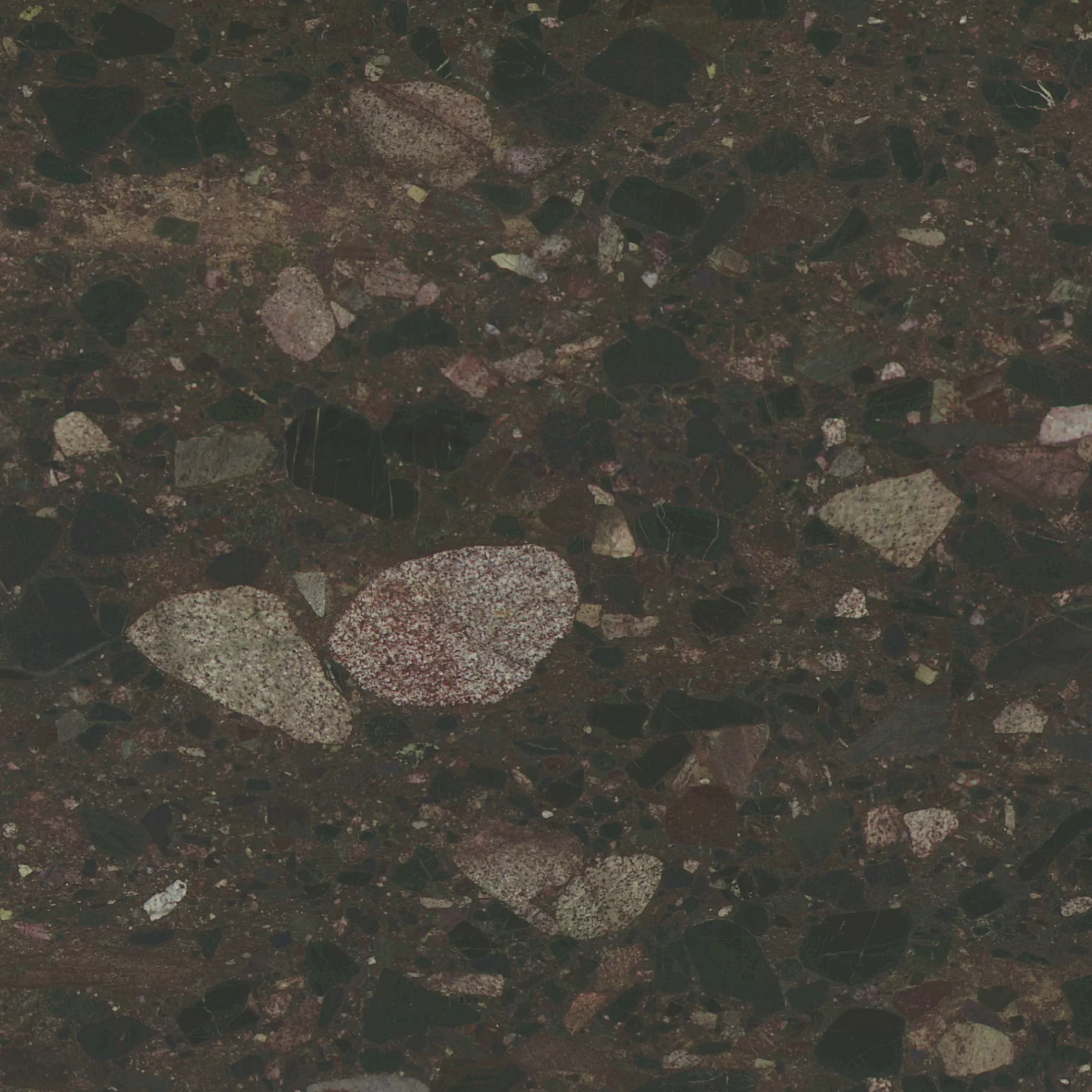 Kategorie 4 - Paladio