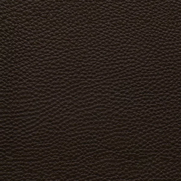 Terra Di Cassel | Nest