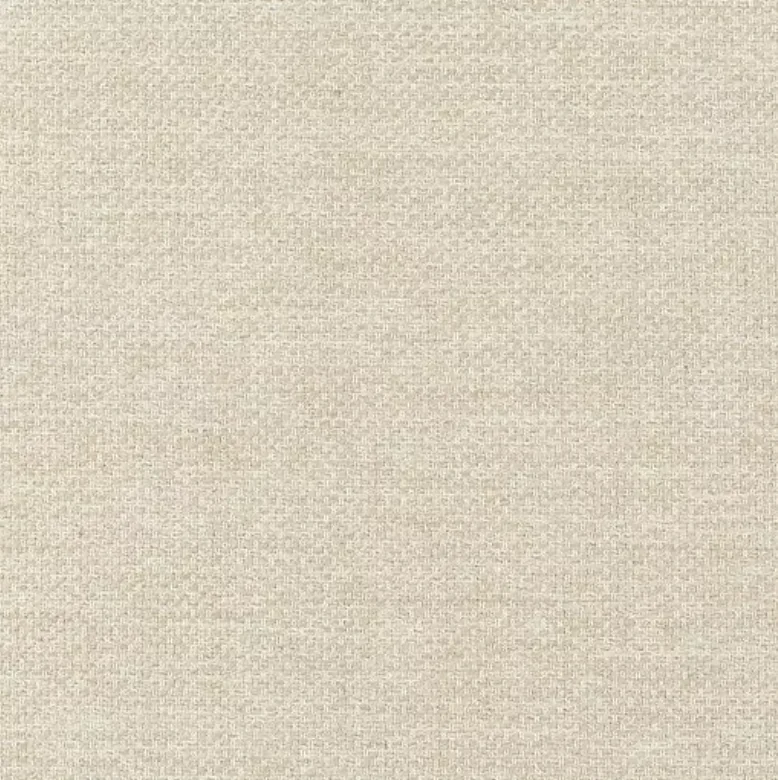 F1 feel free champagner