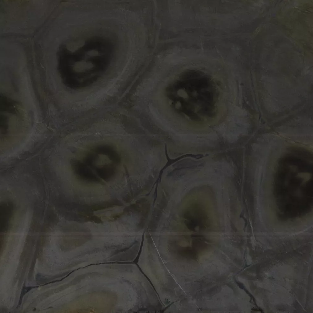 Kategorie 4a - Turtle