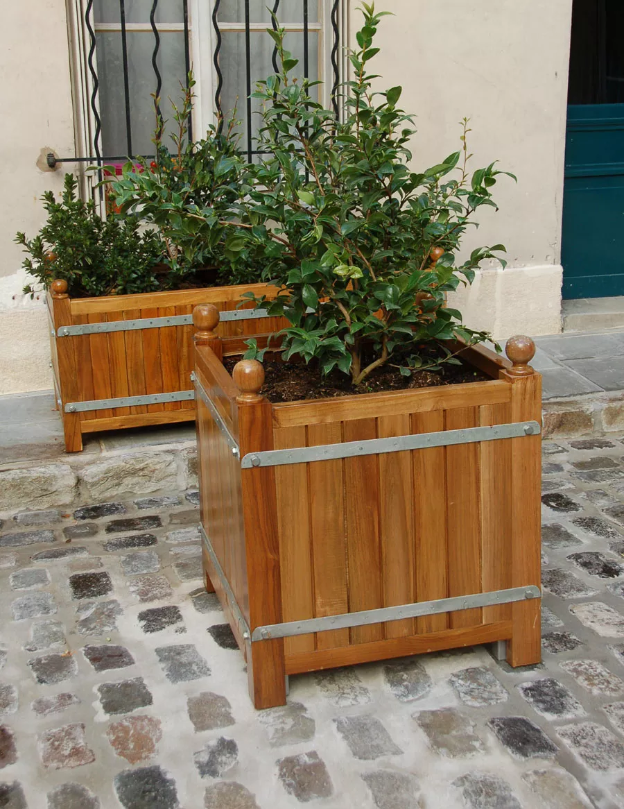 Zwei Orangerie Pflanzkübel aus massivem Akazienholz stehen auf einem gepflasterten Hof vor einem Fenster und einer blauen Tür.