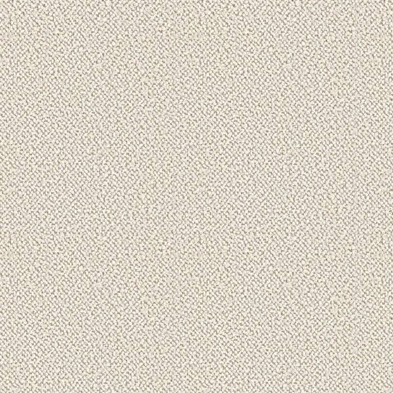 Loop Greggio | B Category