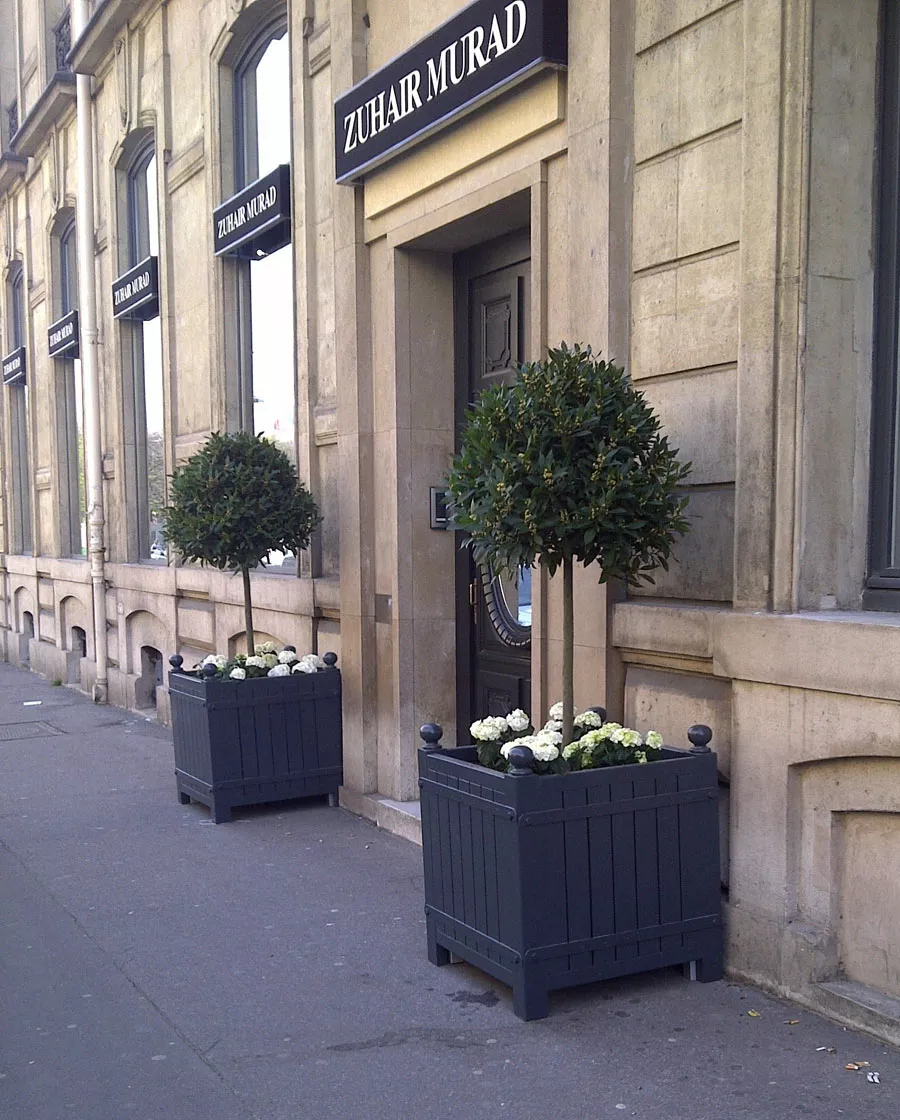 Zwei lackierte Orangerie Pflanzkübel aus Akazienholz mit Bäumen und weißen Blumen vor einem Geschäft mit der Aufschrift Zuhair Murad.