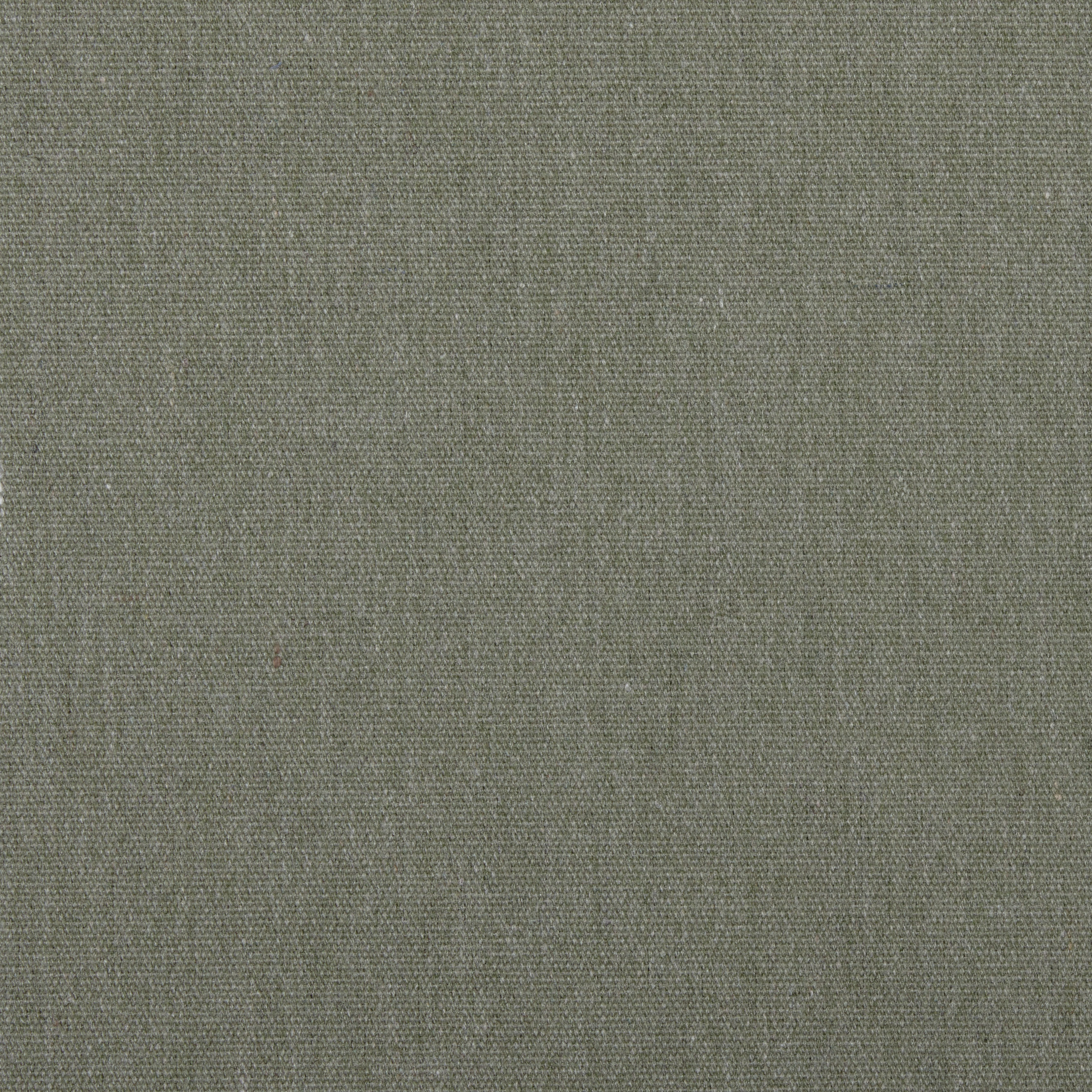 Premium - Bombay - 681  grün