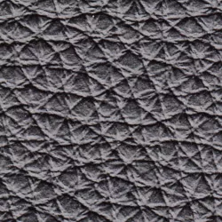 Leder Namibia Schwarz