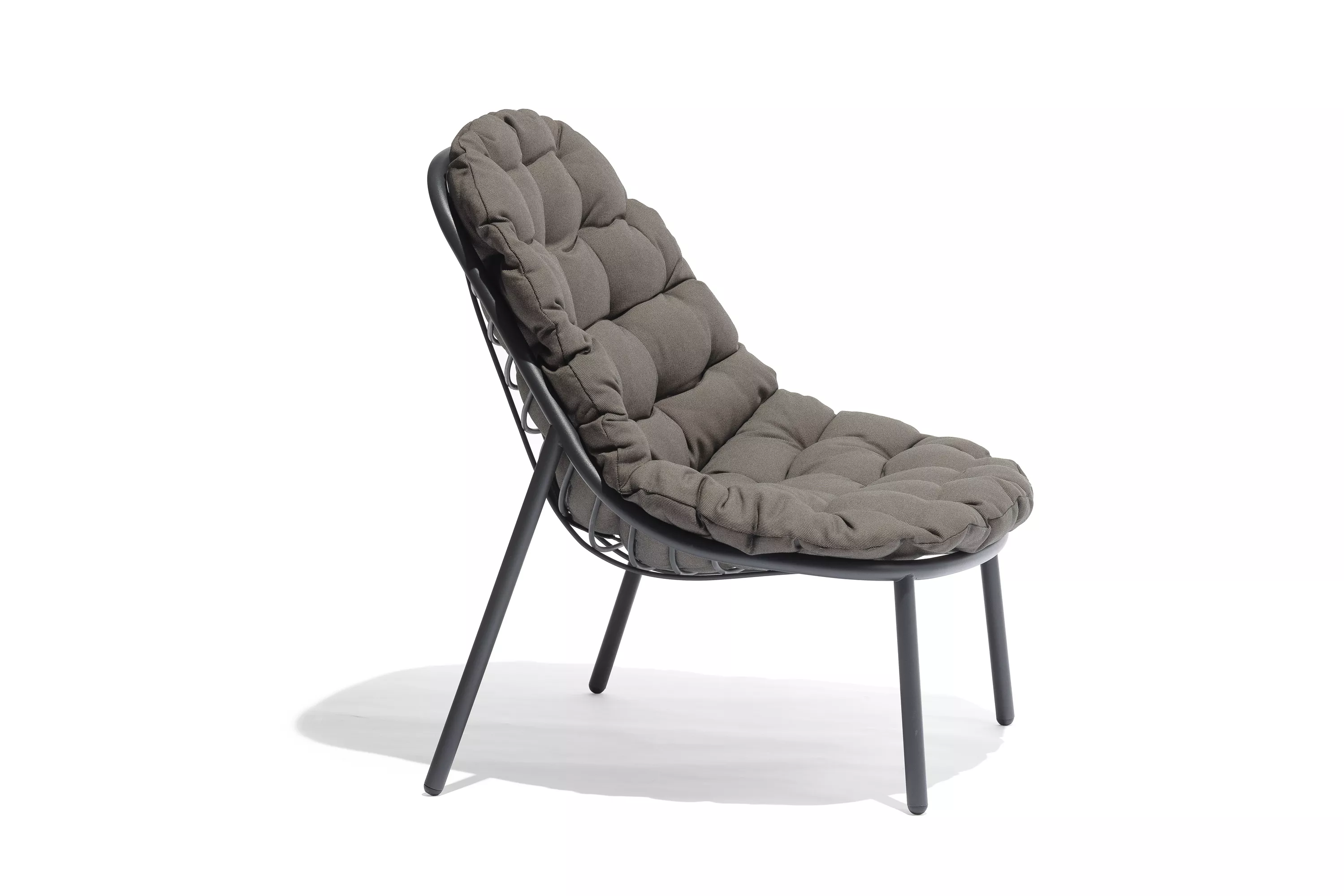 Todus Albus Loungesessel