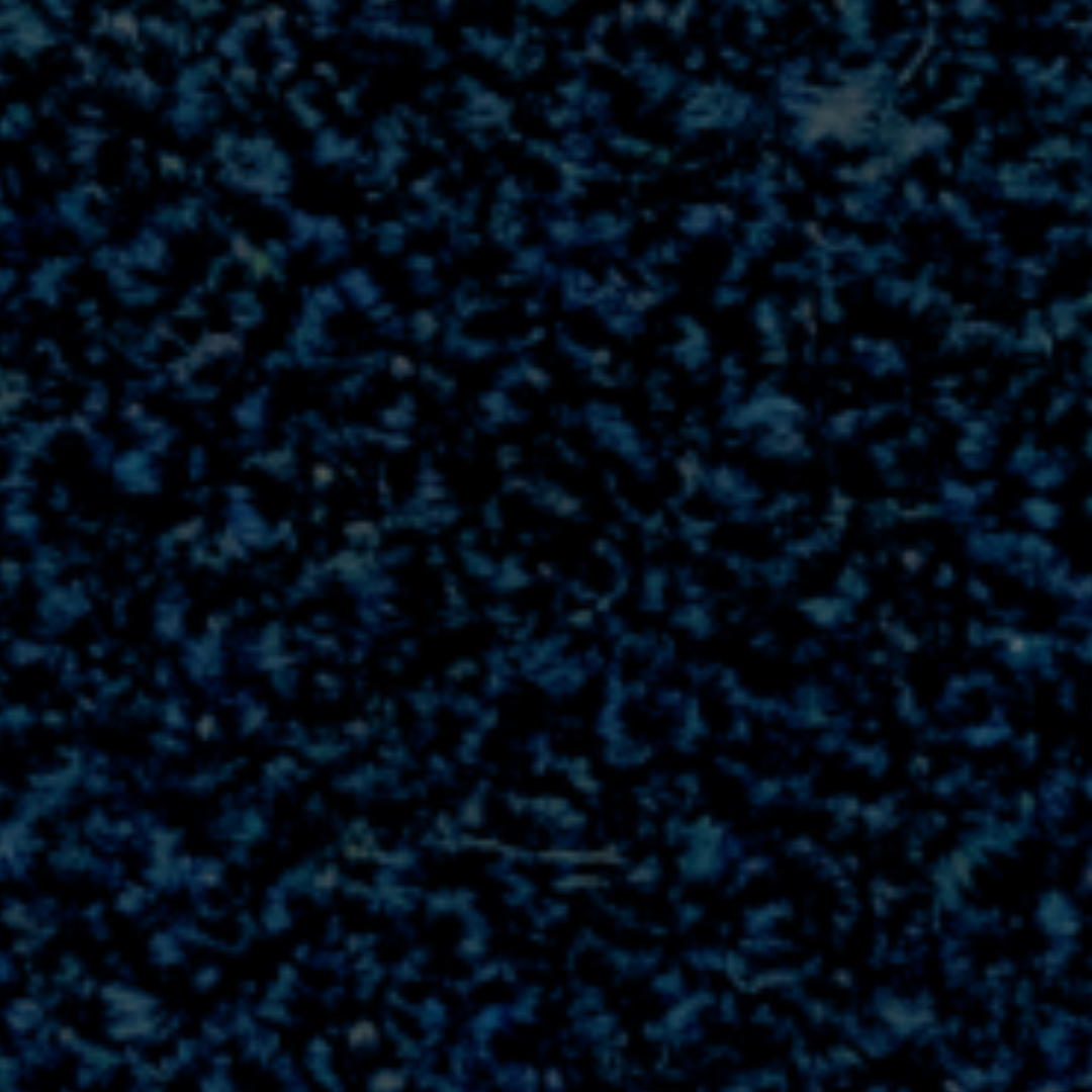 Cat.40 Quantum 40556