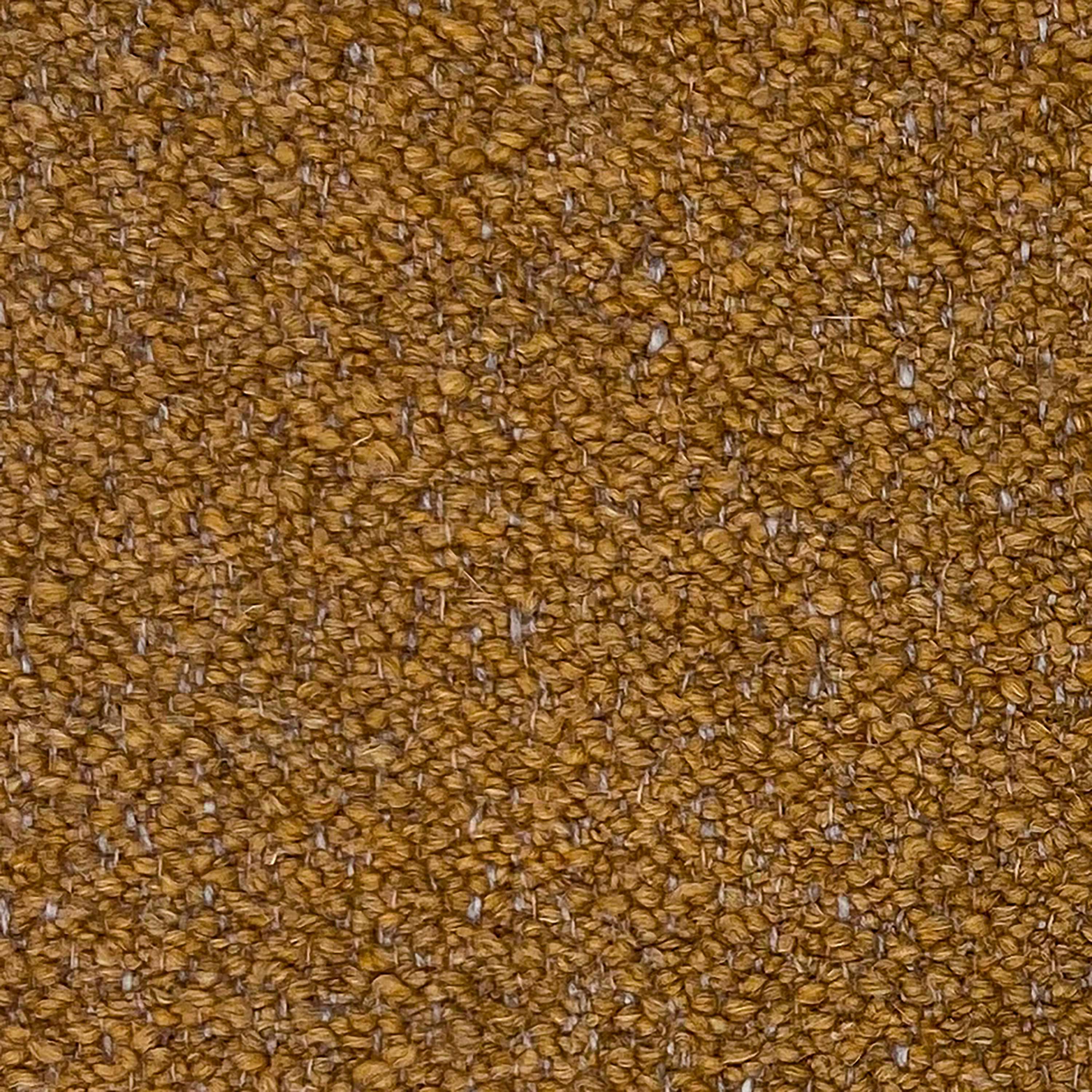 Kategorie S A8848 Orsetto - Ochre