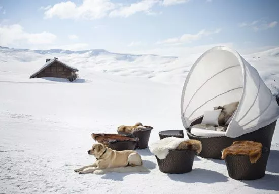 Ein Hund liegt neben Dedon Orbit Möbeln in einer verschneiten Winterlandschaft mit einem abgelegenen Haus im Hintergrund.