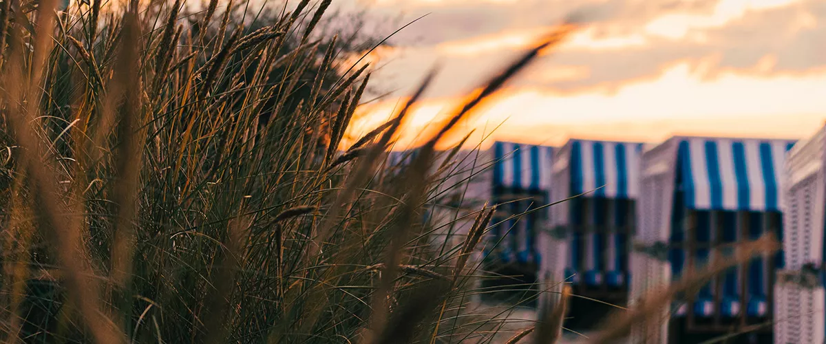 Strandkörbe mit blau-weißen Streifen im Sonnenuntergang, im Vordergrund Gräser, stimmungsvolle Strandatmosphäre.
