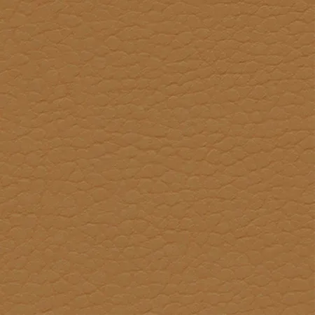 Coast Terra 640-3879