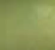 metallic-Algen-glänzend