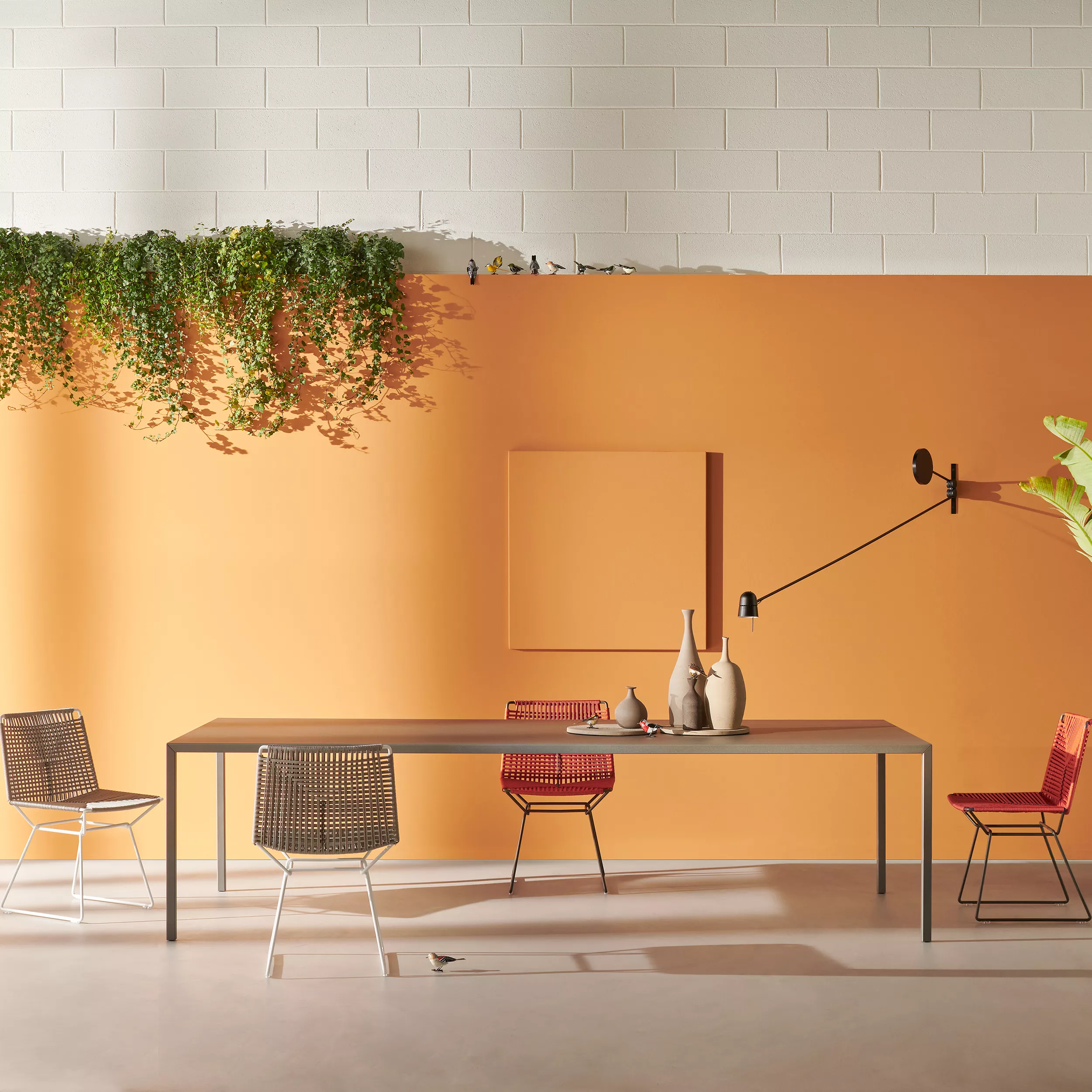 MDF Italia Tense Tisch in einem modernen Esszimmer mit orangefarbener Wand und Hängepflanzen dekoriert mit Vasen und Stühlen in verschiedenen Farben