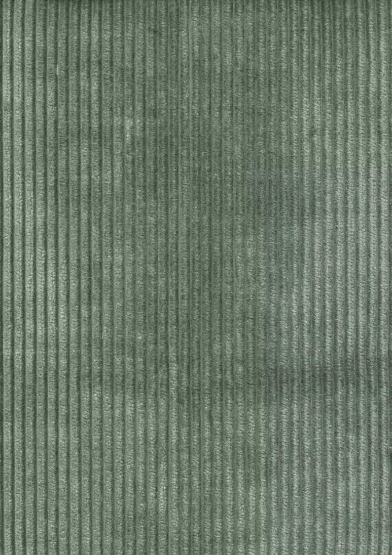 C-Corduroy Celebrity