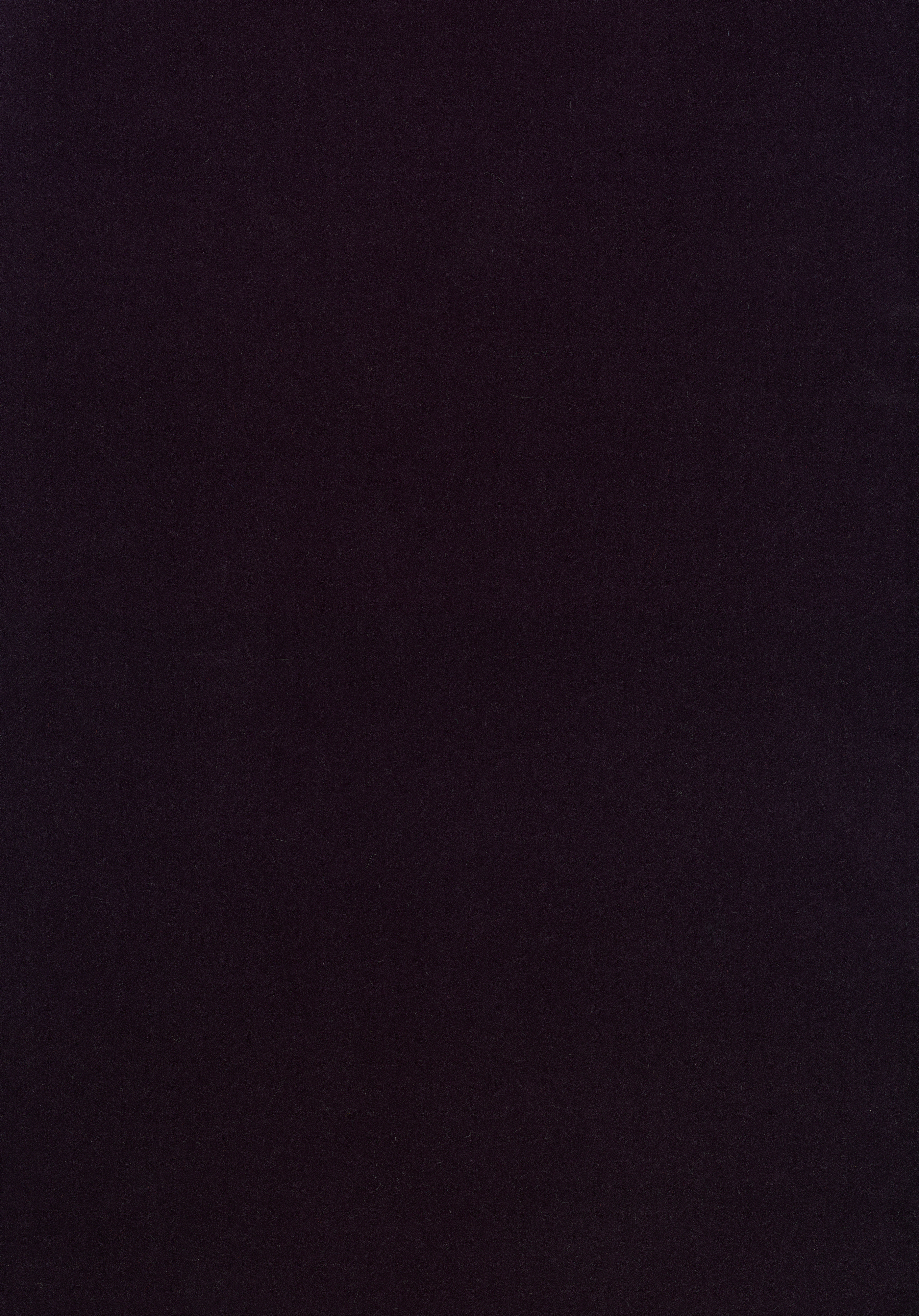 Kategorie W A7789 Harald - Viola Scuro