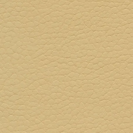 Coast Cabana 640-3890