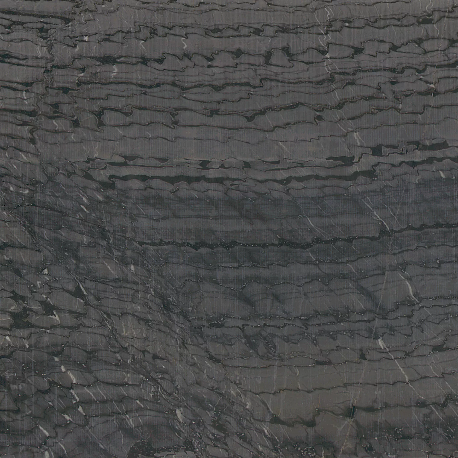 Kategorie 4 - Sequoia Black Geledert