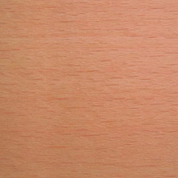 Buche klar lackiert (TP17)