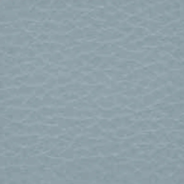 Leder Cat. Premium - Polar 277