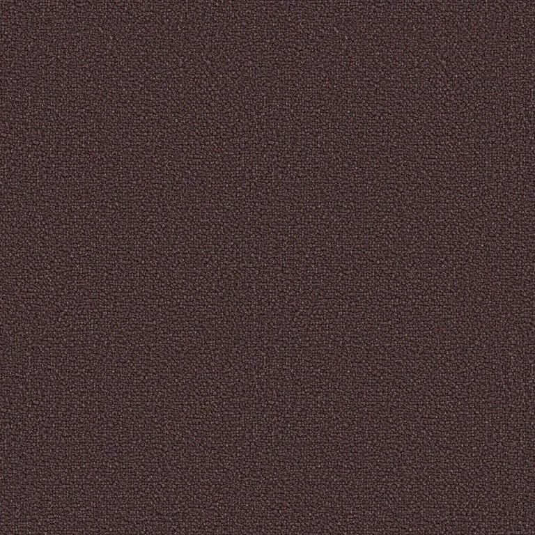 Loop Prugna | B Category