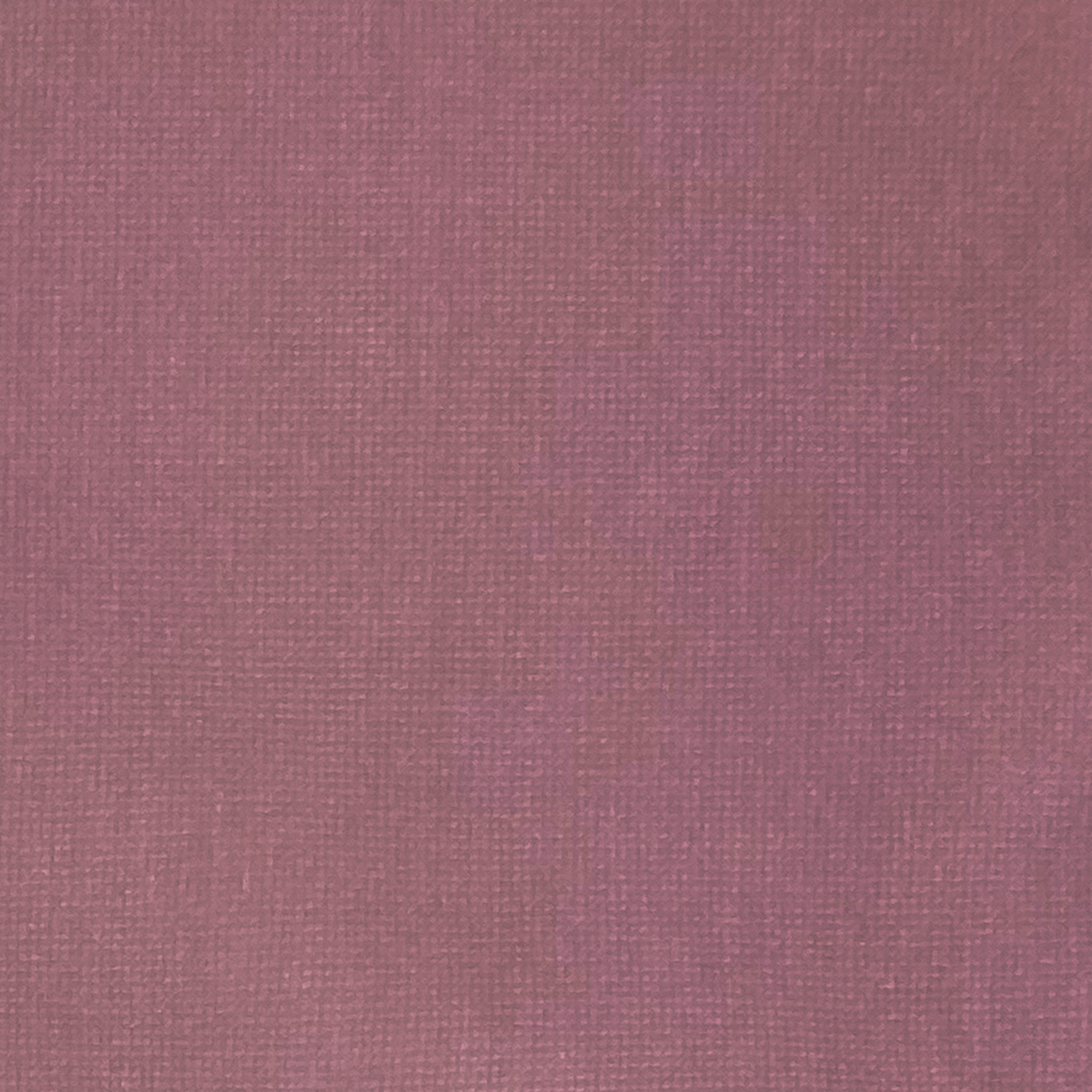 Kategorie Q A7160 Slow-Mo - Rose