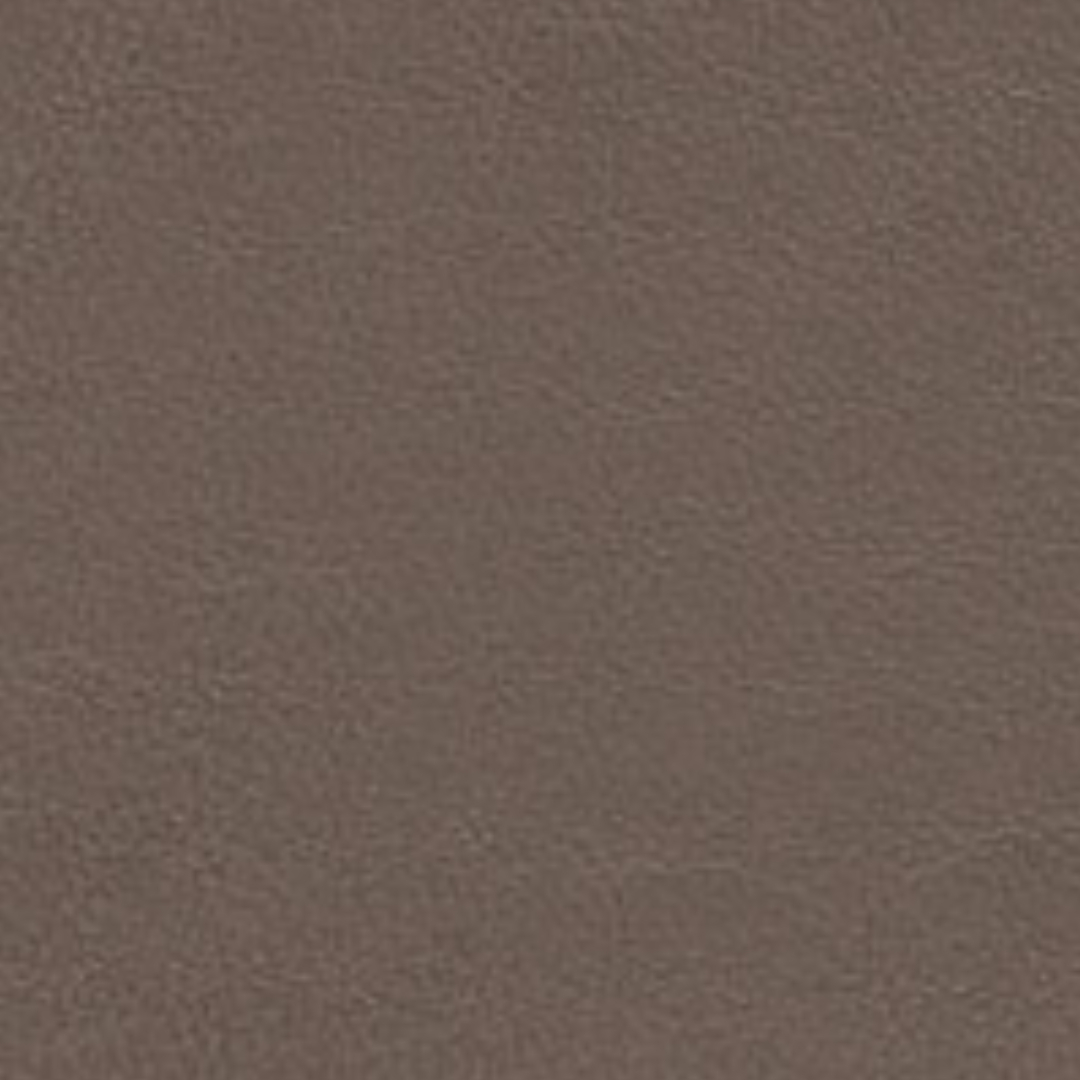 Cat.90 Cuoio pigmentato 0841