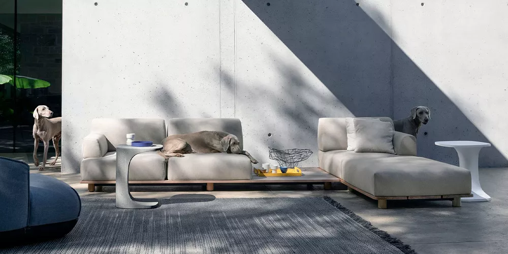 Kristalia Palco Sofa in Beige auf Betonhintergrund mit zwei Hunden, modernem Beistelltisch und Tablett, stimmungsvolle Outdoor-Szene.