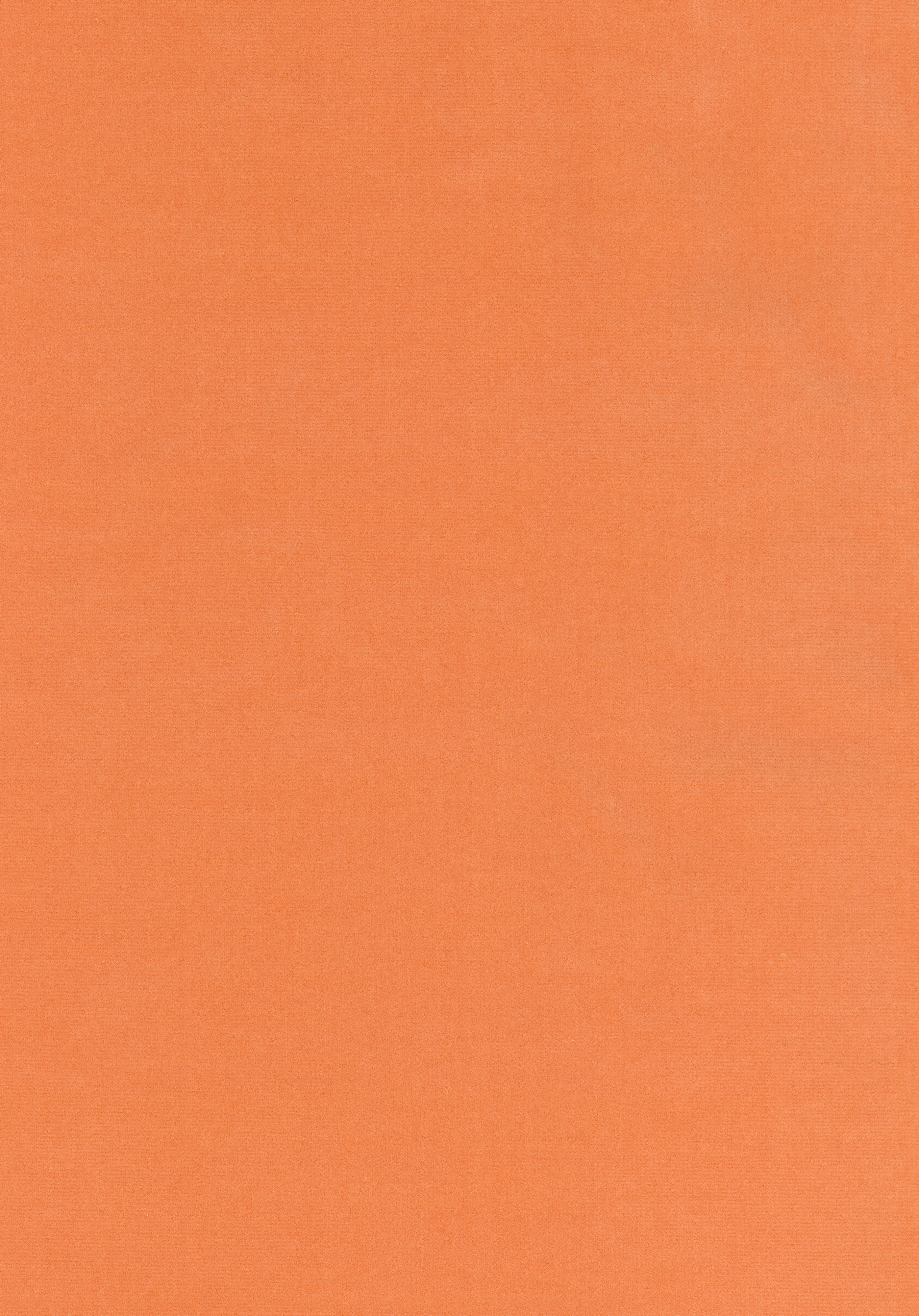 Kategorie W A2384 Harald - Melon Orange